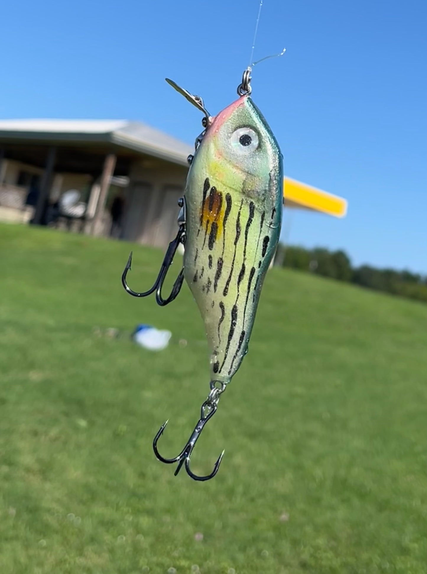 Rattling metal lipped yellow bass crank bait