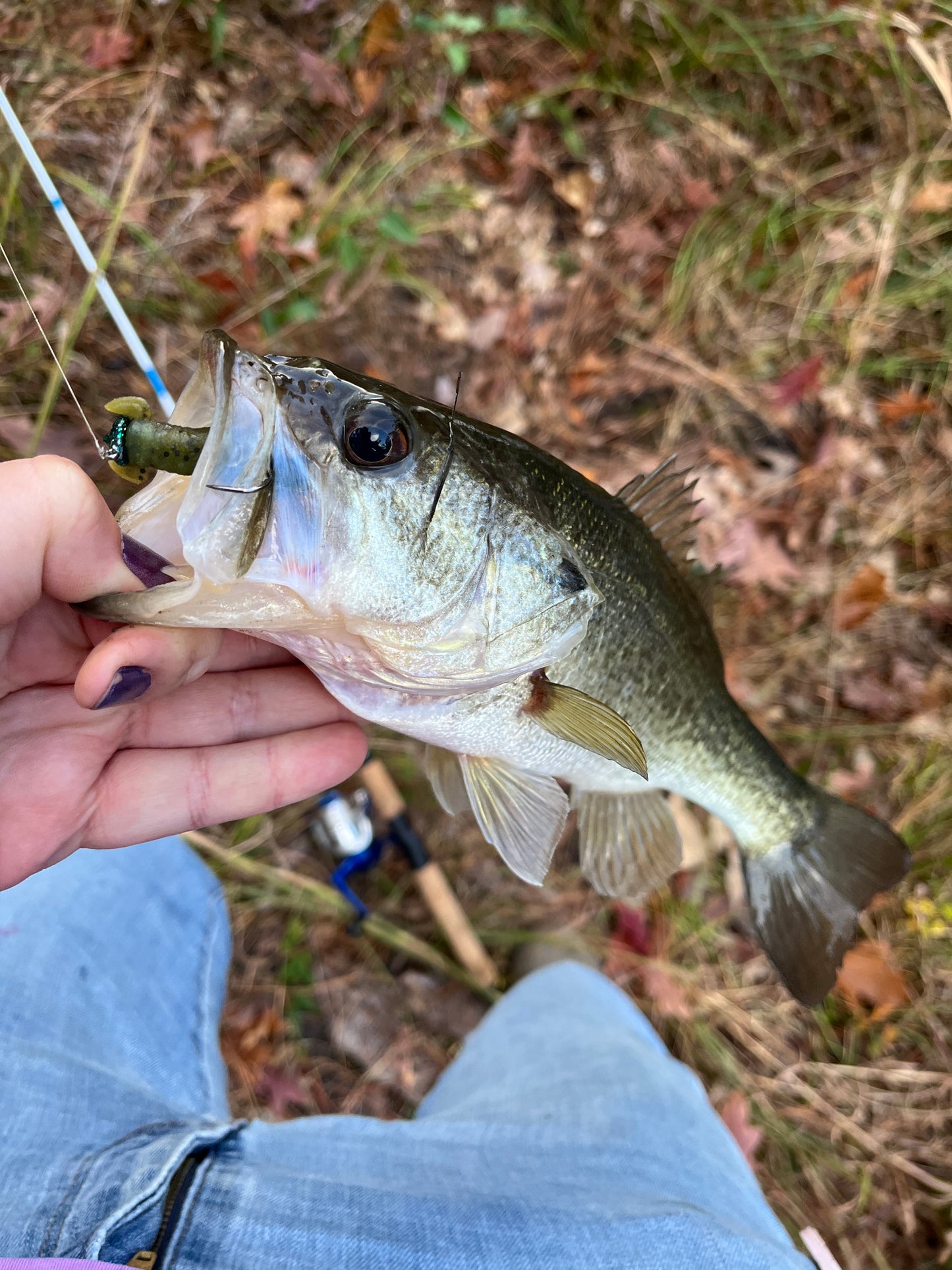 5 count. Handmade 1/16th oz. Mushroom style jig heads