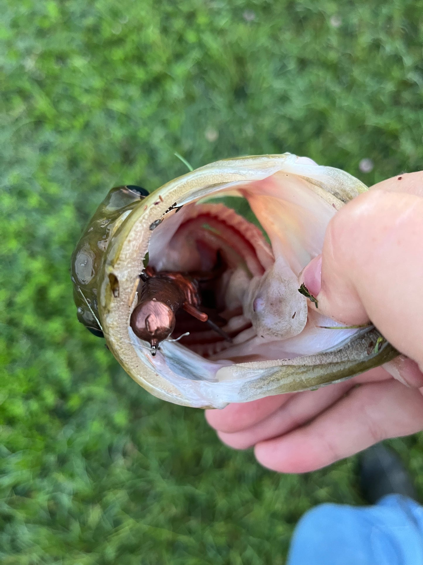 5 count. Handmade 1/16th oz. Mushroom style jig heads