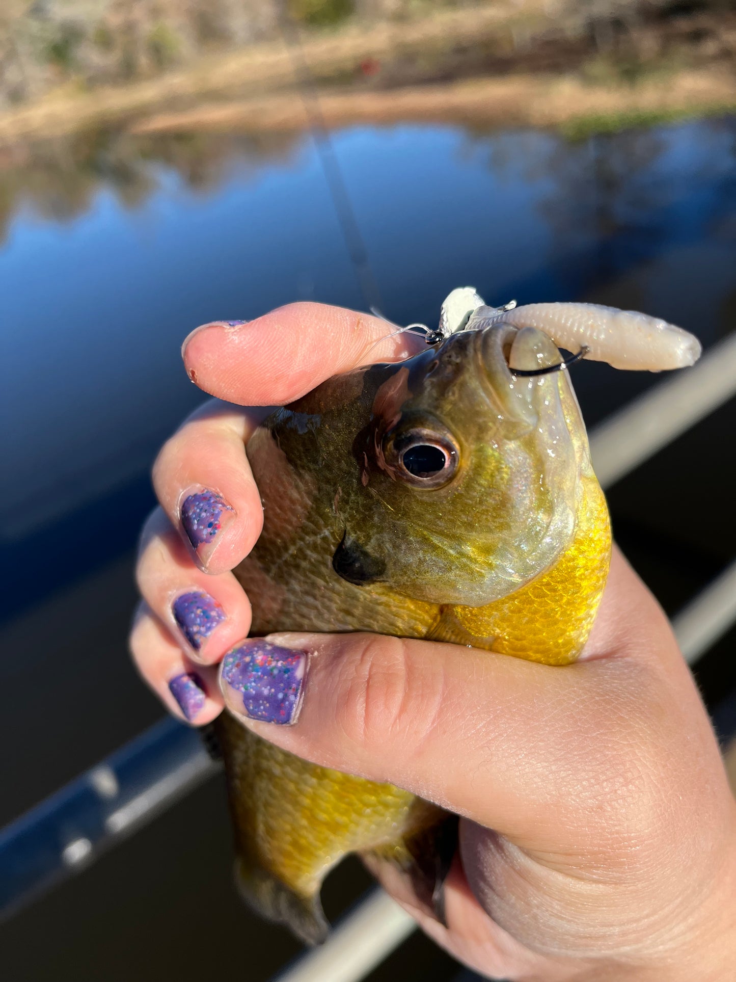 5 count. Handmade 1/16th oz. Mushroom style jig heads